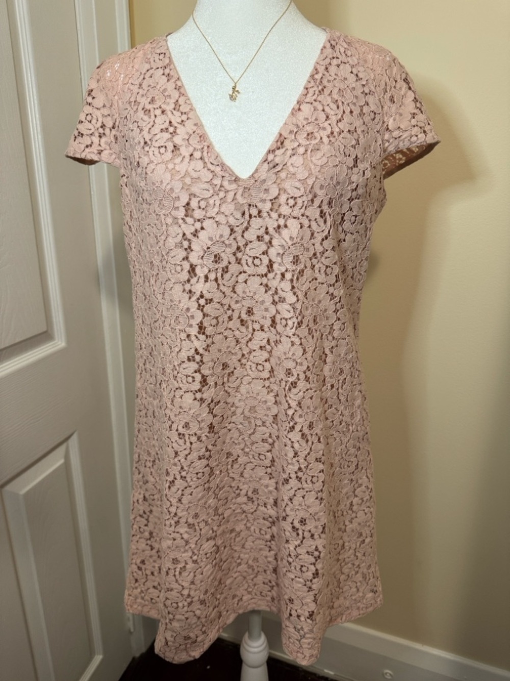 Zara Dusty Rose Floral Lace Mini Dress